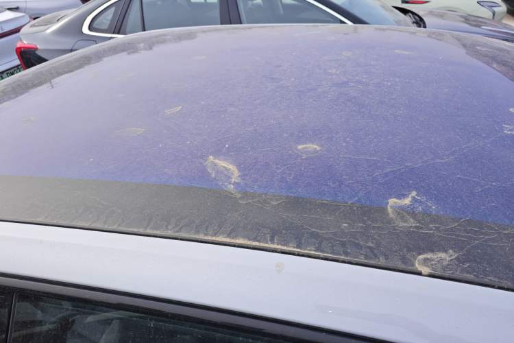 Used Hongqi EH7 2024 690 Pro