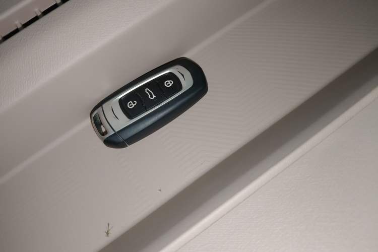 Used Geely Galaxy Panda 2024 Panda Mini 200km Endurance Bear Vehicle Key