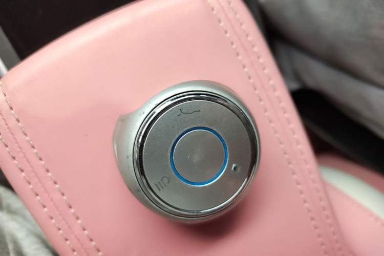 Used NETA V 2022 Chao 400 Lite Pink Custom Edition Interior 1