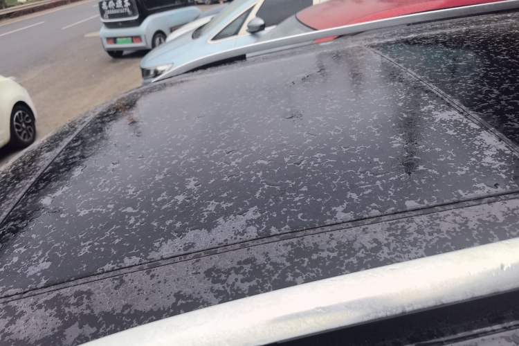 Used Volkswagen Tiguan L 2019 330TSI Automatic Two-Wheel Drive Panoramic Comfort Edition China VI Standard Roof