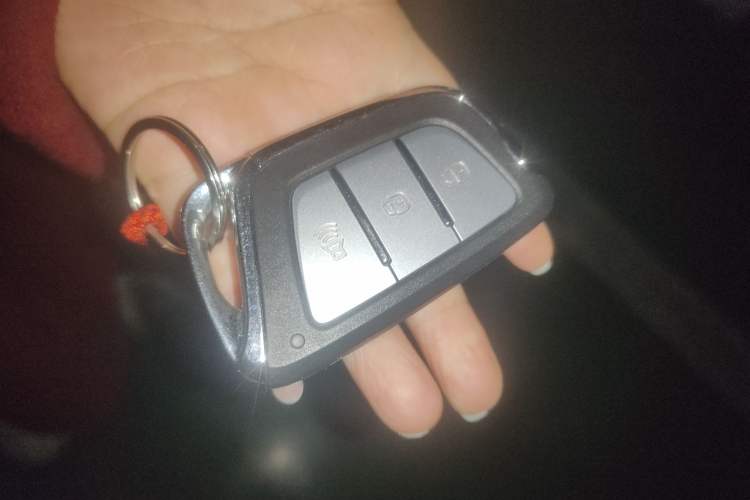 Used JAC Group iEV7S 2019 Luxury Smart Model
