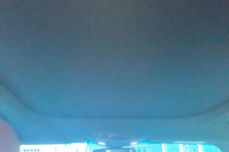 Used Lincoln MKX 2015 2.7T Four-Wheel Drive Prestige Edition Headliner