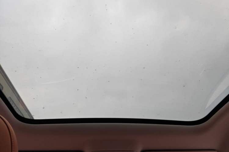 Used Leapmotor C10 2024 530 Smart Edition Headliner