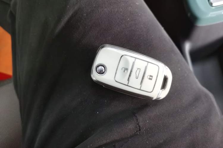 Used Qiyuan Lumin 2023 205km Xiangqin Version