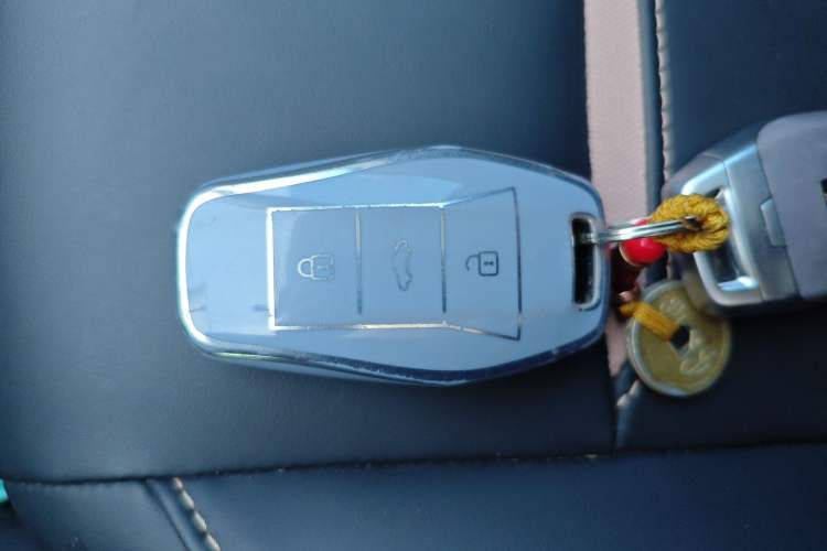 Used SOL E10X 2022 Flower Fairy Design Four-Leaf Clover
