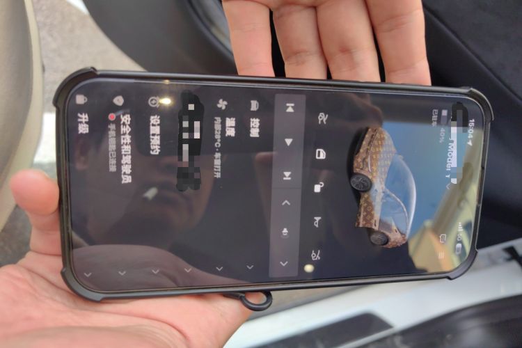 Used Tesla Model Y 2025 Updated Version Long-Range All-Wheel Drive
