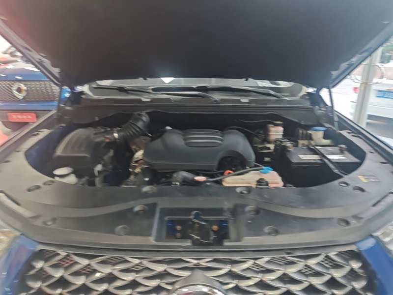Used Great Wall Poer 2019 2.0T Commercial Version Manual Diesel Two-Wheel Drive Elite Long-Box GW4D20M — 19