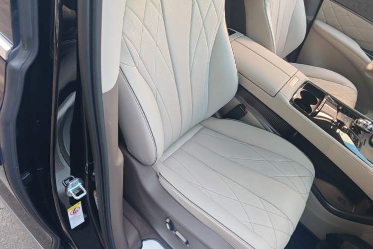 Used Denza D9 2022 DM-i 1040 Prestige Model
