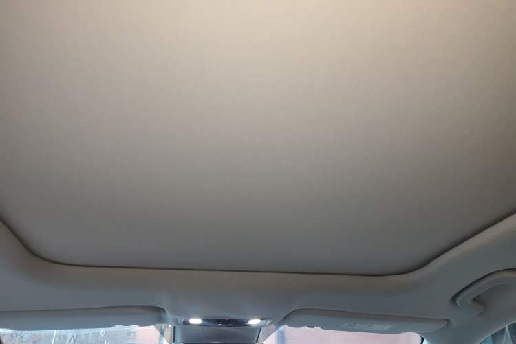 Used Leapmotor C11 2021 Revised Version Luxury Edition Headliner