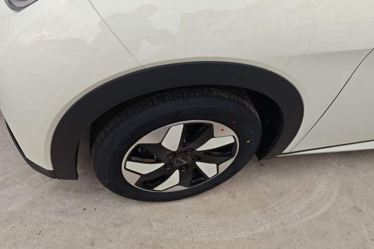 Used BYD Dolphin 2025 420km Free Edition
