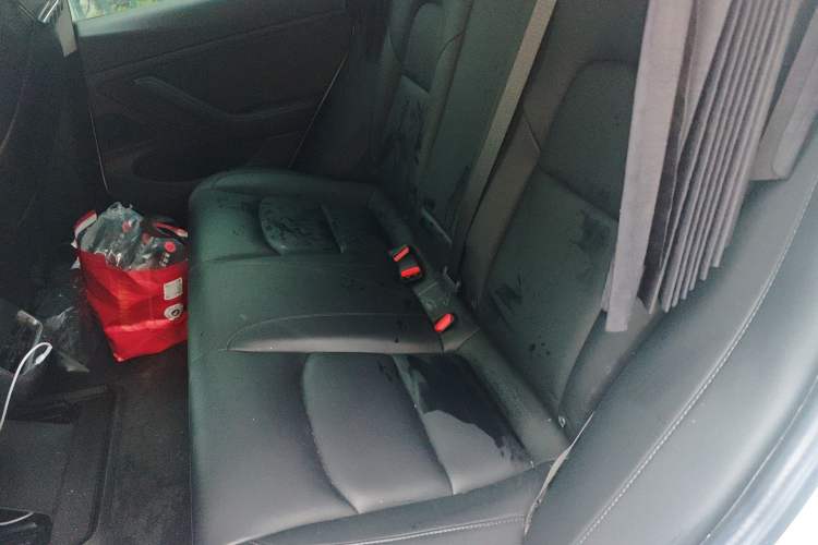 Used Tesla Model 3 2019 Standard Range Rear-Wheel Drive Upgraded Version (60 kWh)
