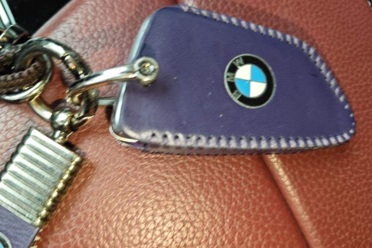 Used BMW 5 Series 2019 530Li Luxury Edition M Sport Package