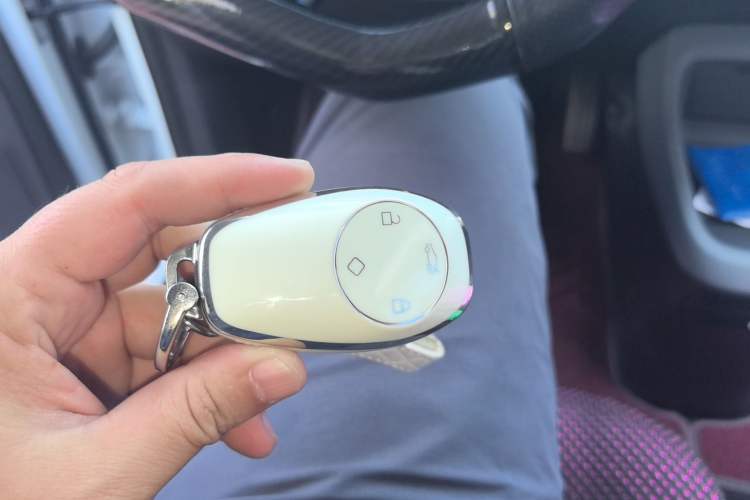 Used Leapmotor T03 2021 400 Lite Edition - Lithium-Ion Battery
