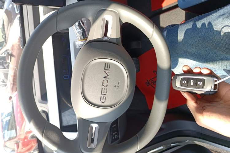 Used Geely Galaxy Panda 2024 Panda Mini 200km Endurance Bear