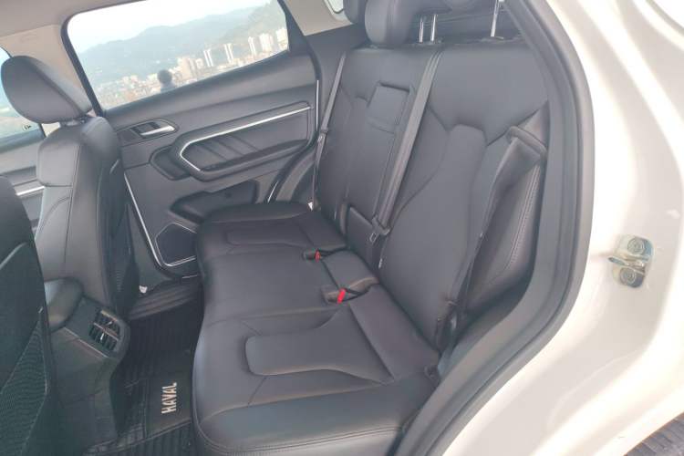 Used Haval H6 2017 Red Label 2.0T Automatic Two-Wheel Drive ZhiShang Model Left Rear Seat