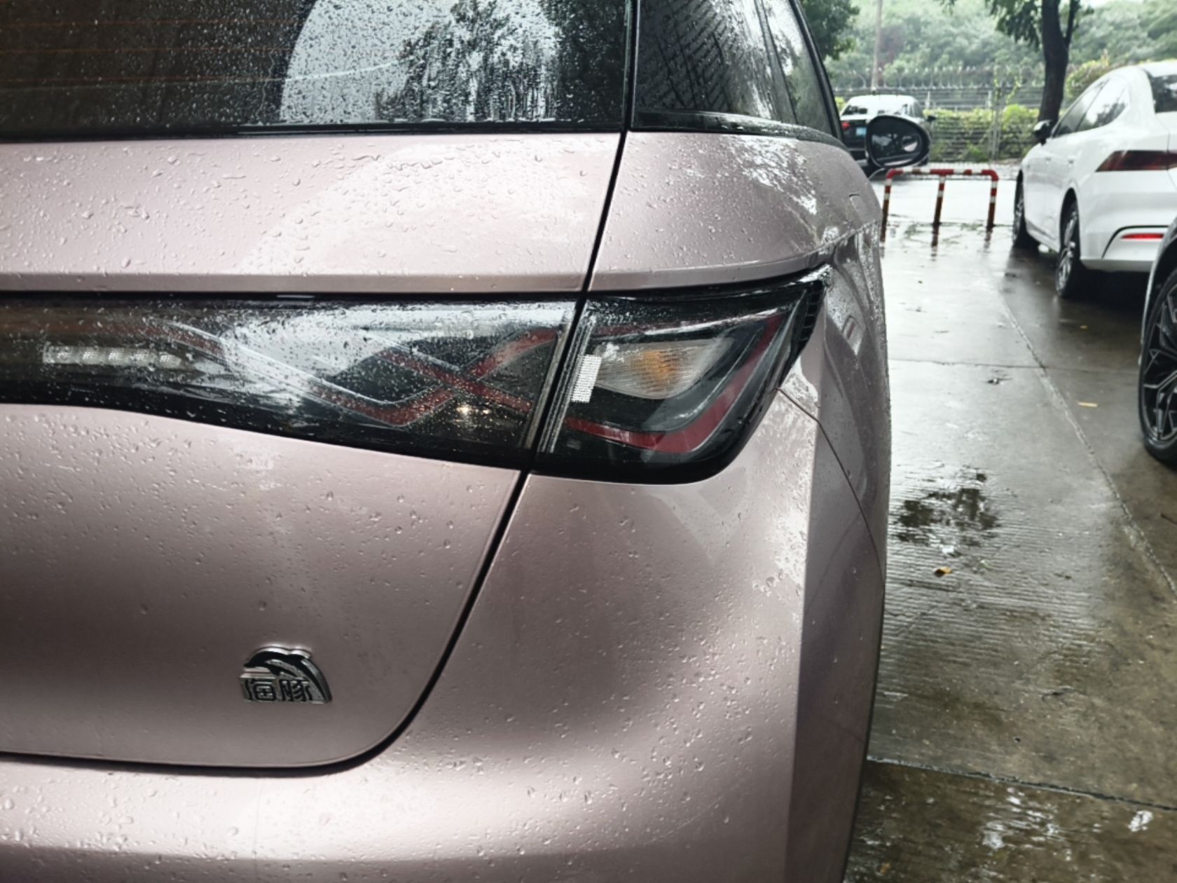 BYD Dolphin 2021 405 km Fashion Edition — снимка 9