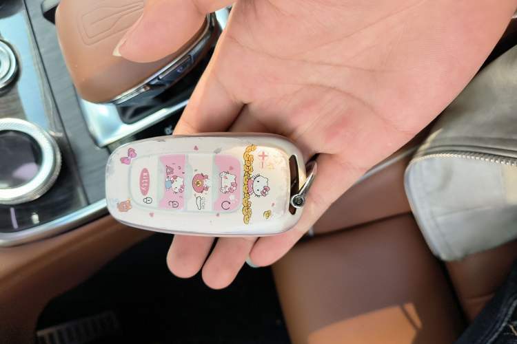 Used Hongqi H9 2022 2.0T Smart Connect Flagship Edition