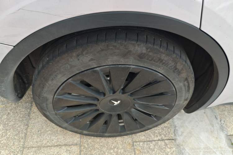 Used Tesla Model Y 2021 Standard Range Rear-Wheel Drive Version Exterior 5