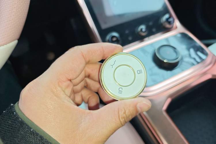 Used NETA U 2022 NETA U-Ⅱ 610 Ternary Lithium