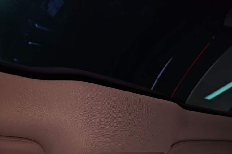 Used XPeng P7 2020 670N Headliner