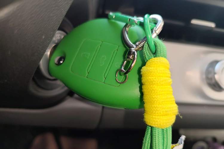 Used Qiyuan Lumin 2025 205 km Xiangqin Version