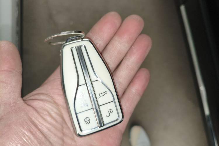 Used Hongqi HS5 2019 2.0T Smart Connect Flagship Edition
