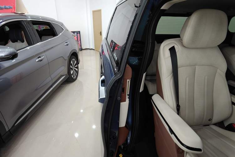 Used BYD Xia 2025 DM-i 1.5T 180km Excellence Model