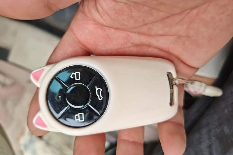 Used ORA Good Cat 2021 400km Standard Range Athena Edition Lithium-Ion Battery