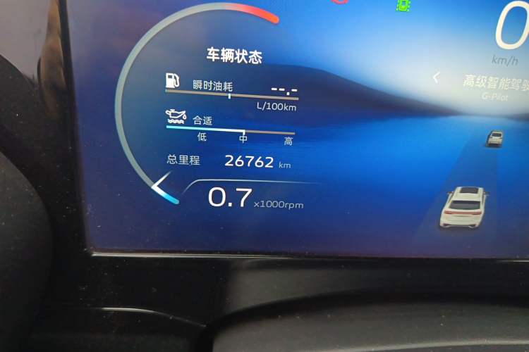 Used Geely Auto Monjaro L 2023 2.0TD High-Power Automatic Two-Wheel Drive Flagship Version Odometer Close Up