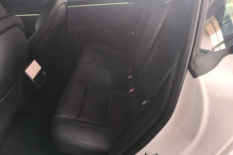 Used Tesla Model 3 2023 Rear-Wheel-Drive Version Left Rear Seat