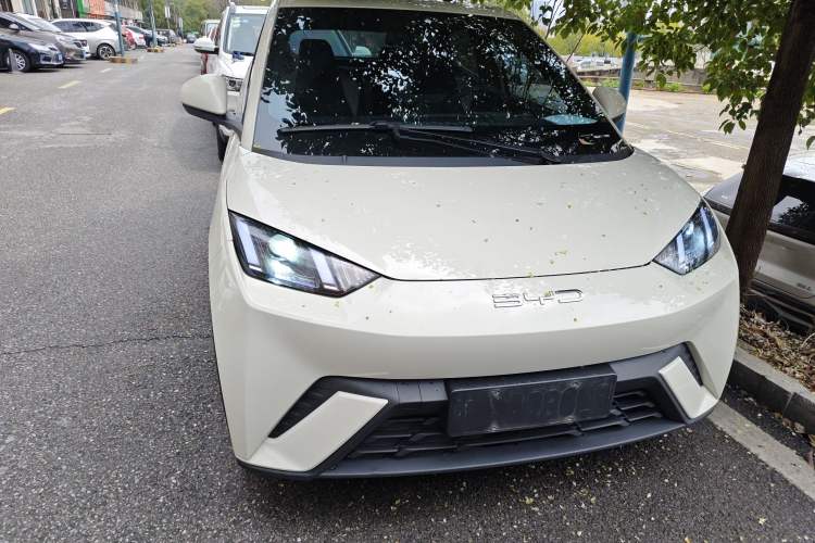 Used BYD Seagull 2023 Active Version
