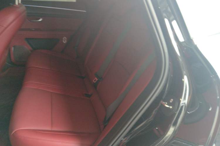 Used Hima AITO M5 2025 Extended-Range Ultra Rear-Wheel-Drive Version Left Rear Seat