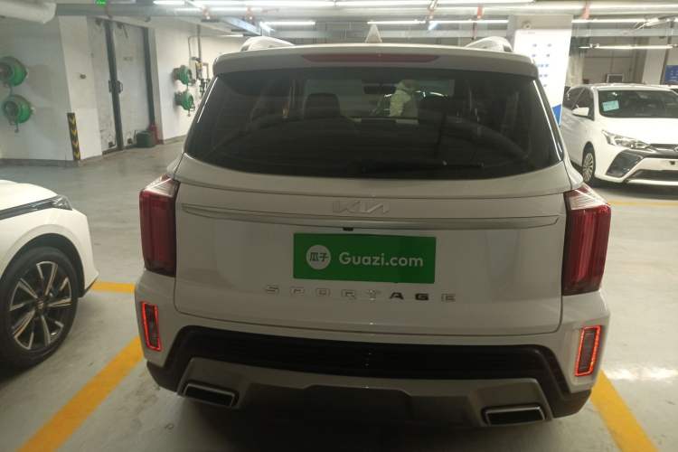 Used Kia Sportage R 2021 Ace 2.0L Splendid Edition Rear