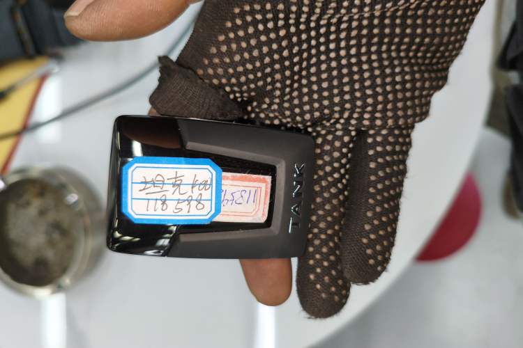 Used Wey Gaoshan 2023 Four-Wheel Drive Flagship Edition