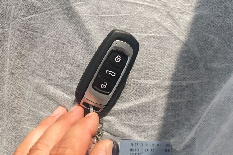 Used Geely Galaxy Panda 2024 Panda Mini 200km Endurance Bear
