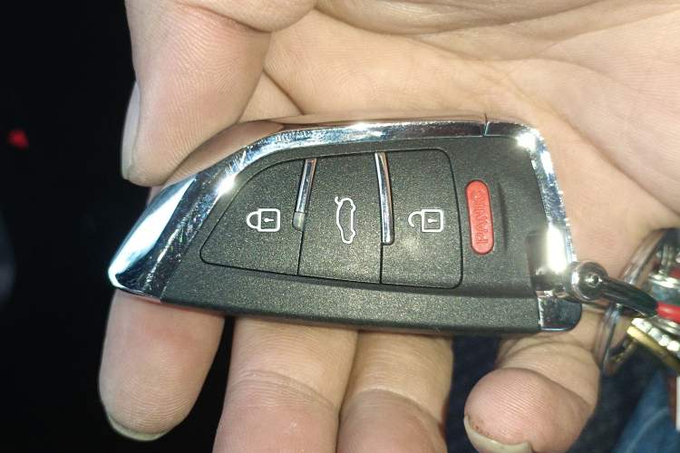 Used NETA V 2022 Chao 400 Lite Pink Custom Edition Vehicle Key