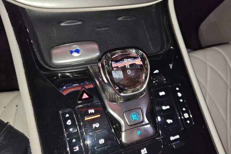 Used Denza D9 2024 PIONEER Four-Seat Pioneer Edition
