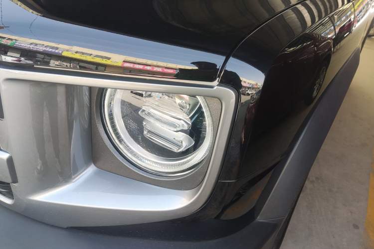 Used Haval DARGO 2024 2.0T DCT Chinese Rural Dog Edition
