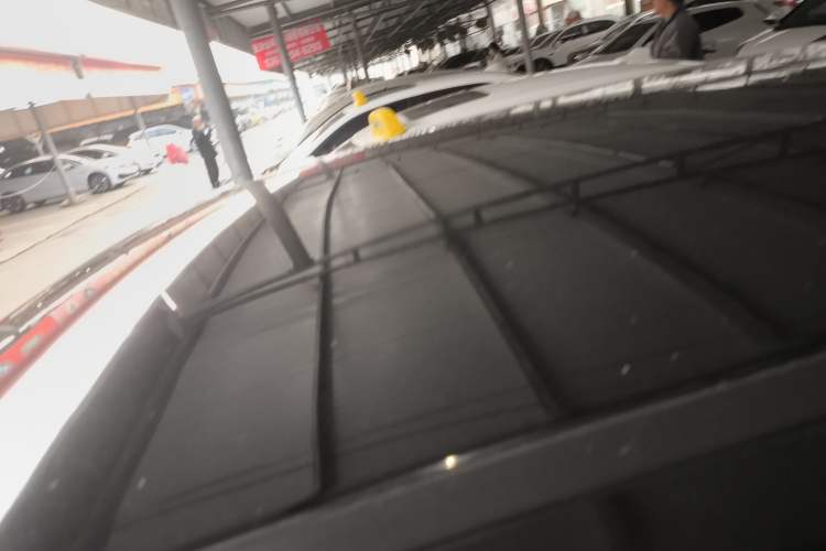 Used ORA Black Cat 2019 301km Standard Edition
