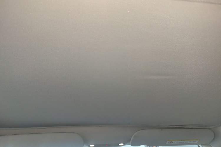 Used Tesla Model 3 2022 Rear-Wheel-Drive Version Headliner