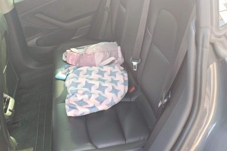 Used Tesla Model 3 2020 Refreshed Version Long-Range Rear-Wheel Drive
