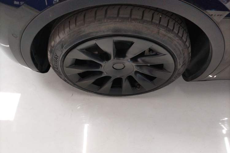 Used Tesla Model Y 2021 Standard Range Rear-Wheel Drive Version
