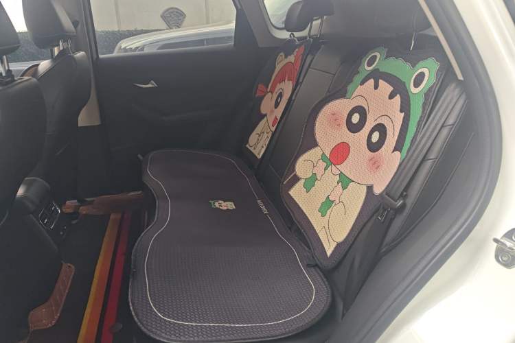 Used Haval LHERY 2022 Jingxiang Edition 1.5T Copper Rabbit
