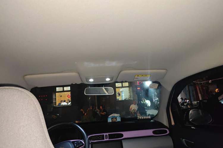 Used Leapmotor T03 2021 400 Micro-Sugar Version Headliner