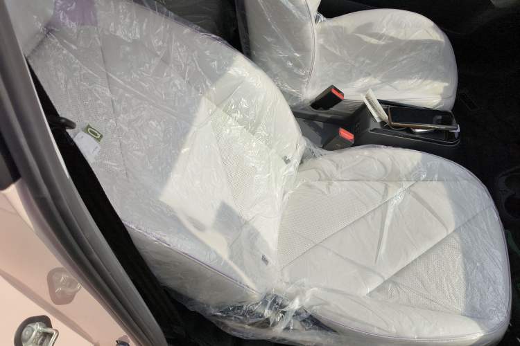 Used Chery Little Ant 2024 Facelifted 321km Beloved Edition Right Front Seat