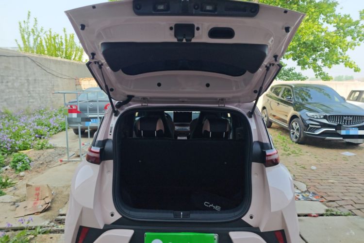 Used BYD Seagull 2025 Smart Drive Version 305 km Freedom Edition