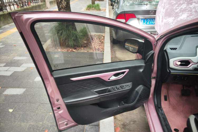 Used SOL E10X 2022 Flower Fairy Style Baby's Breath