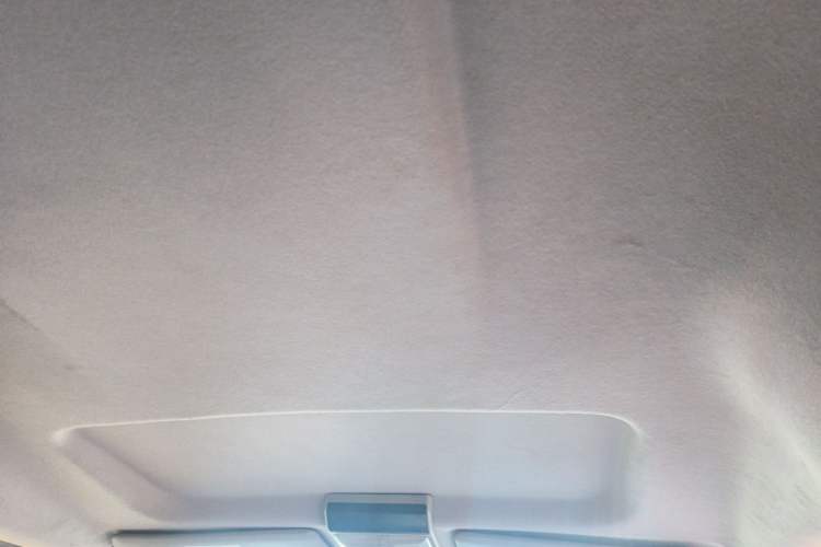 Used FORTHING Lingzhi 
