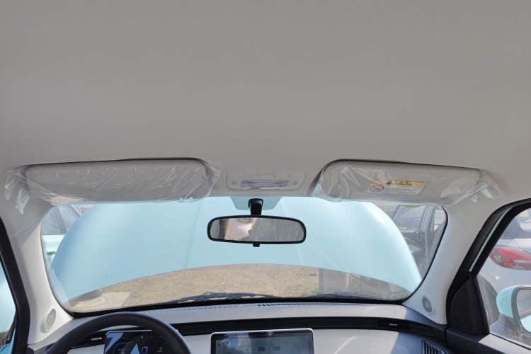 Used Cowin October 2025 Mate 300km Surfing Edition