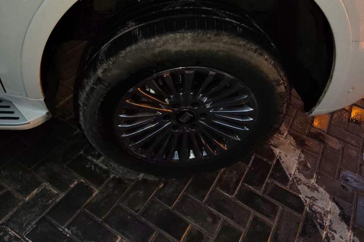 Used Tank 500 New Energy 2025 Hi4-Z